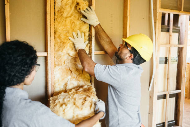 Best Insulation Replacement  in Cushing, OK